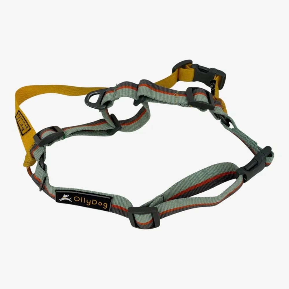 OllyDog Essential Dog Harness Surf Green Orange Yellow Size Medium